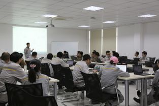 全球標準 品質保障 東風雷諾五年穩步前行